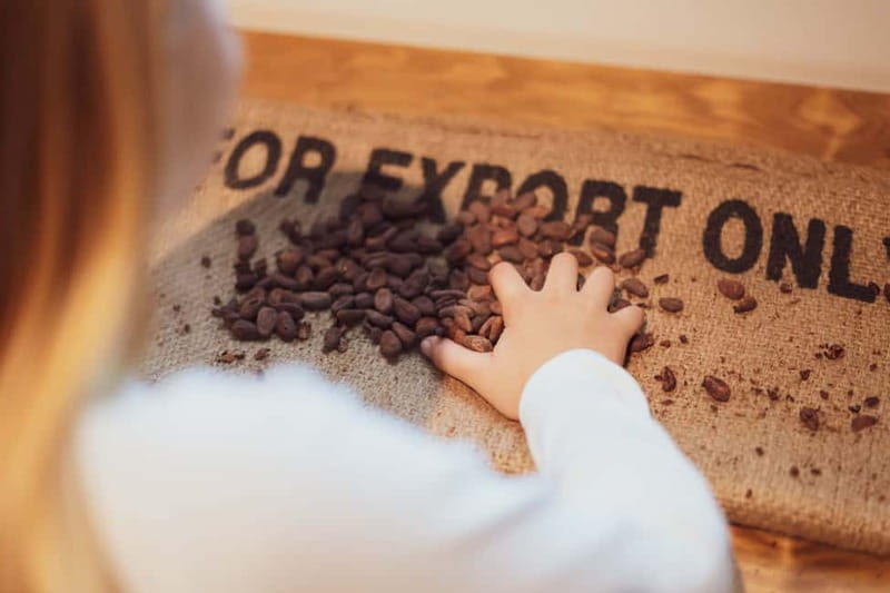 Porto: Chocolate Museum - Unwrap the Secrets of Chocolate - Entering The Chocolate Story in Porto, and what your ticket covers