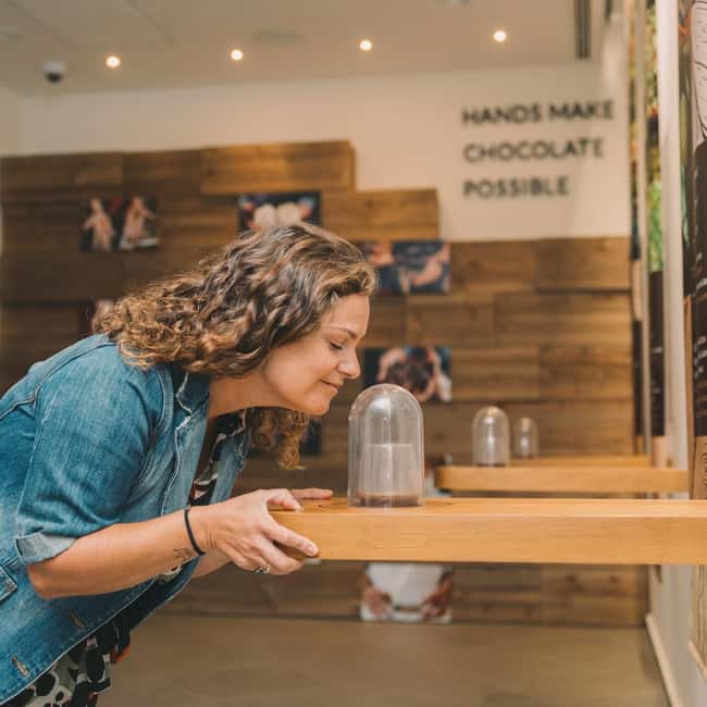 Porto: Chocolate Museum - Unwrap the Secrets of Chocolate - The Vinte Vinte factory stop: what you can see, and when it might be less active