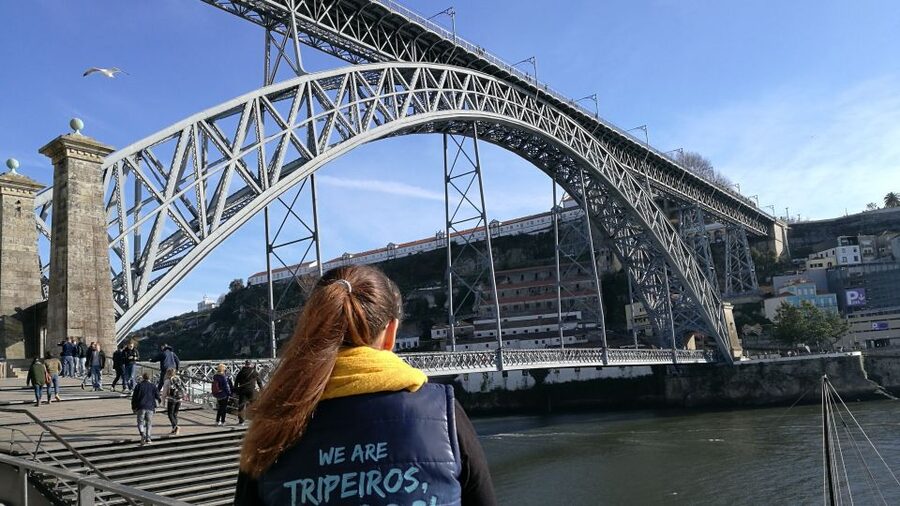 Porto: City Highlights Guided Segway Tour - Entering Porto by Segway training, not guesswork