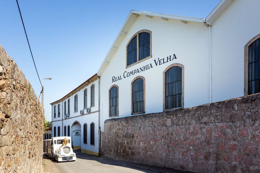 Porto: City Train Tour, River Cruise & Wine Cellar - Timing tips that keep the day smooth