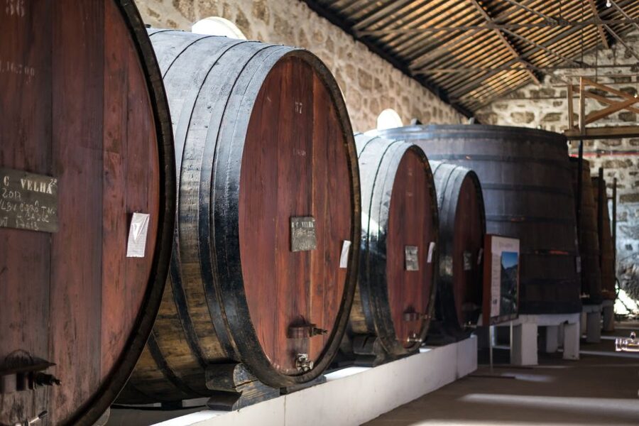 Porto: City Train Tour, River Cruise & Wine Cellar - Who this suits best, and who should pick a different plan