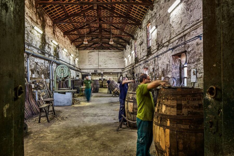Porto: Cockburn’s Port Lodge Tour and Tasting - Who Should Book This Tour (and Who Might Skip It)