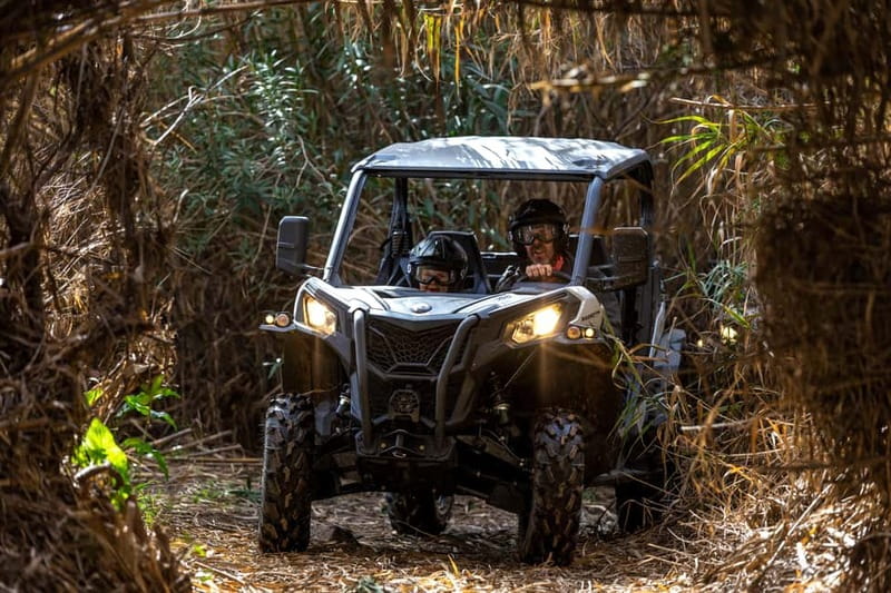 Porto: Dirt and Dust Tour by Oporto Buggy - Key things that make this tour worth your time