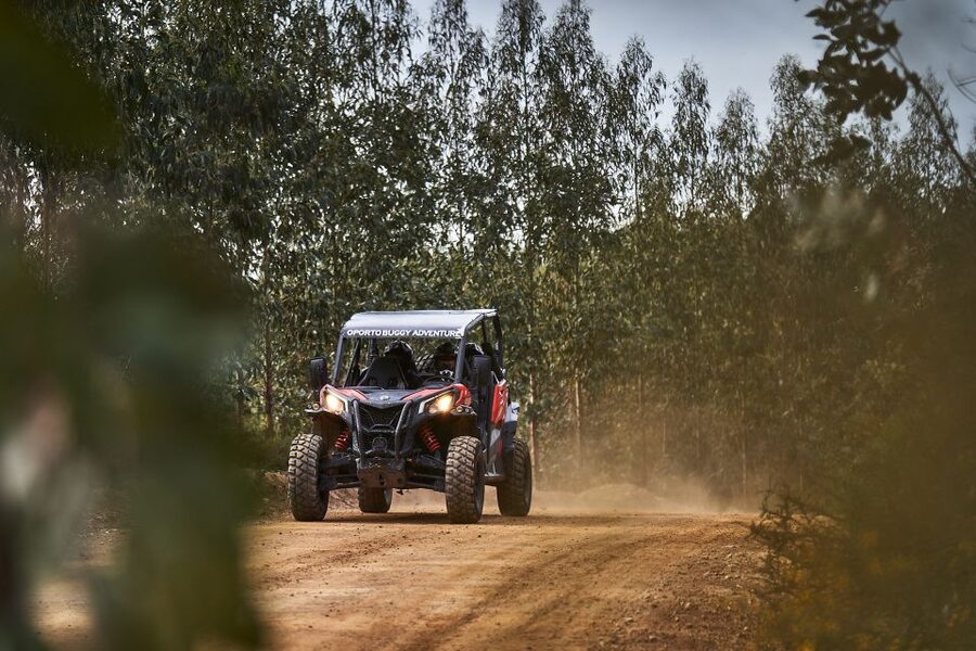 Porto: Dirt and Dust Tour by Oporto Buggy - Guide Quality and the Small Group Difference
