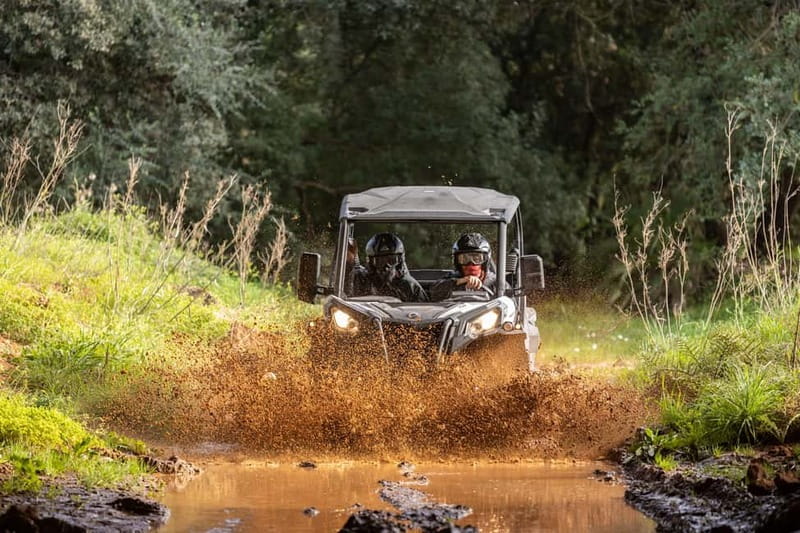 Porto: Dirt and Dust Tour by Oporto Buggy - Driving a 2-Seat Buggy, Not Just Riding Along