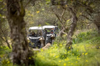 Dirt and Dust Tour by Oporto Buggy