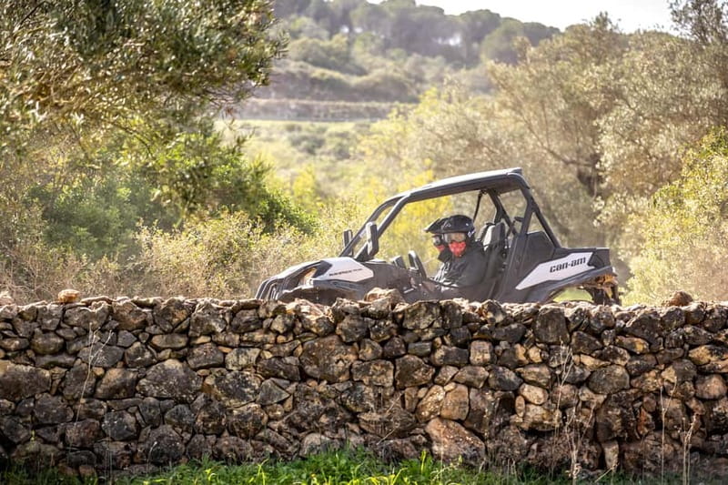 Porto: Dirt and Dust Tour by Oporto Buggy - Who This Tour Fits Best (and Who Should Skip It)