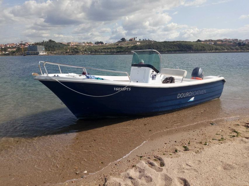 Porto: Douro River Cruise w/ Portuguese Wines & Local Host - Final call: should you book DouroBoatman?