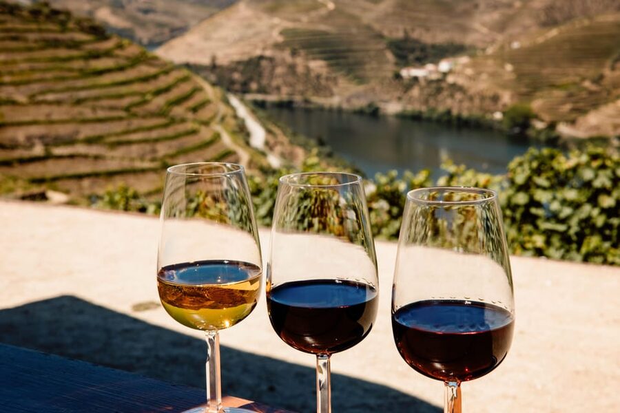 Porto: Douro Valley & Amarante Wine, Food & River Tour - The traditional quinta visit: Port tastings with a real working estate feel