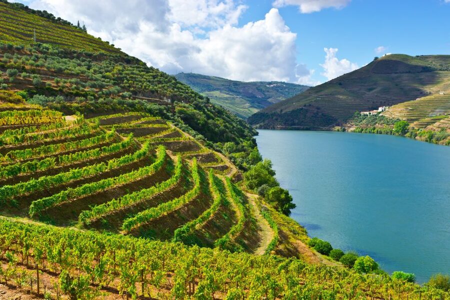 Porto: Douro Valley History & Wine Tour with Cruise & Lunch - A ten-hour route that’s packed, but not chaotic