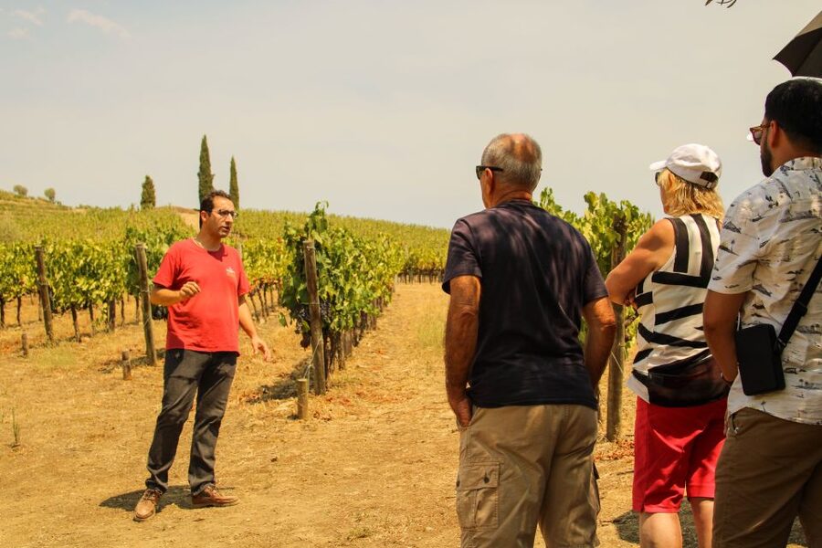 Porto: Douro Valley History & Wine Tour with Cruise & Lunch - Amarante on a guided walk, with enough freedom to breathe