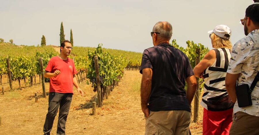 Porto: Douro Valley History & Wine Tour with Cruise & Lunch - Where you meet in Porto, and what to do before you leave