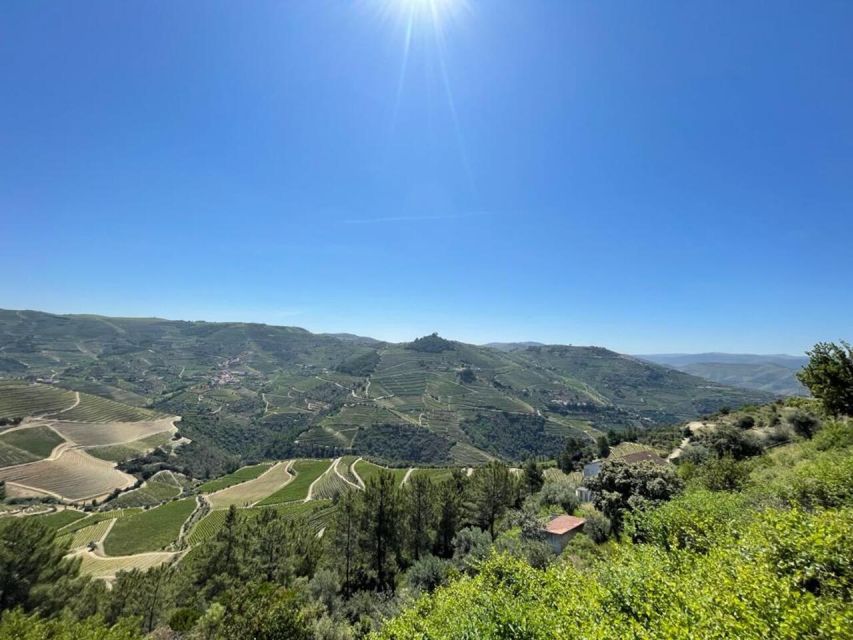 Porto: Douro Valley Tour with 2 Wineries, Lunch and Cruise - Key highlights worth circling on your map