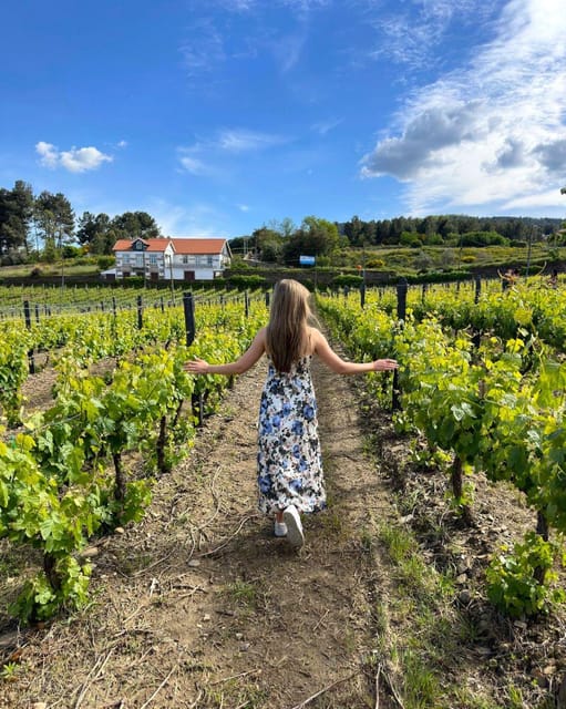 Porto: Douro Valley Tour with 2 Wineries, Lunch and Cruise - Olive oil tastings (and sometimes sweet pairings): the underrated part