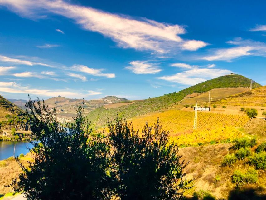 Porto: Douro Valley Tour with 2 Wineries, Lunch and Cruise - Price and value: is $117 worth a full 9 hours?