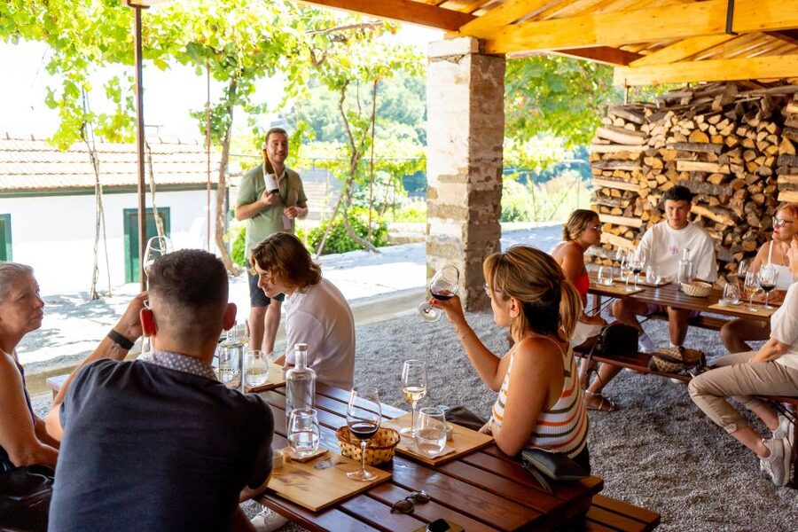 Porto: Douro Valley Tour with Lunch, Boat Cruise & Tastings - Lunch in a Wine Cellar: Pairing Food with the Douro You Came For