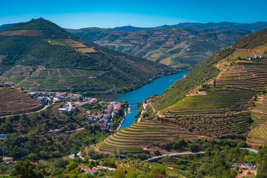 Porto: Douro Valley Tour with Lunch, Boat Cruise & Tastings - Pinhão and the Douro Cruise: Watching Vineyards Change as the River Moves