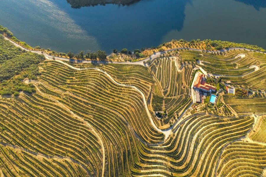Porto: Douro Valley Tour with Lunch, Boat Cruise & Tastings - The Second Winery Stop: More Tastings, More Context, Plus Olive Oil