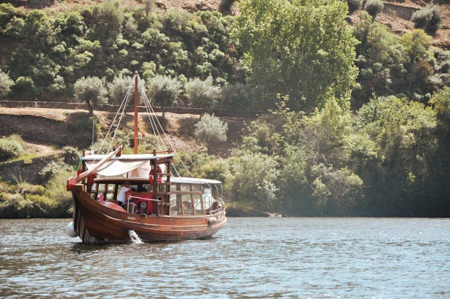 Porto: Douro Valley Tour with Wine Tasting, Cruise and Lunch - Pacing, Group Size, and When This Feels Like the Right Choice