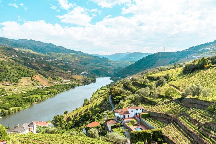Porto: Douro Valley Tour with Wine Tasting, Cruise and Lunch - Why This Douro Day Trip Works So Well for Limited Time