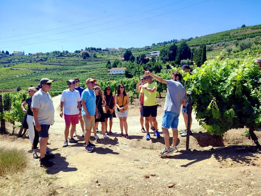 Porto: Douro Valley Vineyards Tour with Lunch & River Cruise - Price and value: what $111 buys you in the Douro