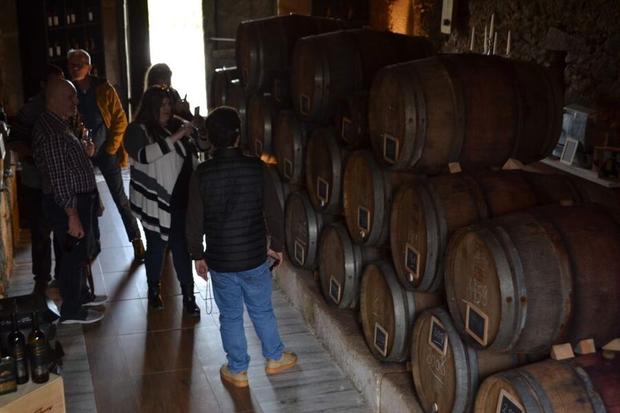 Porto: Douro Valley Vineyards Tour with Lunch & River Cruise - Pickup and the long drive from Porto