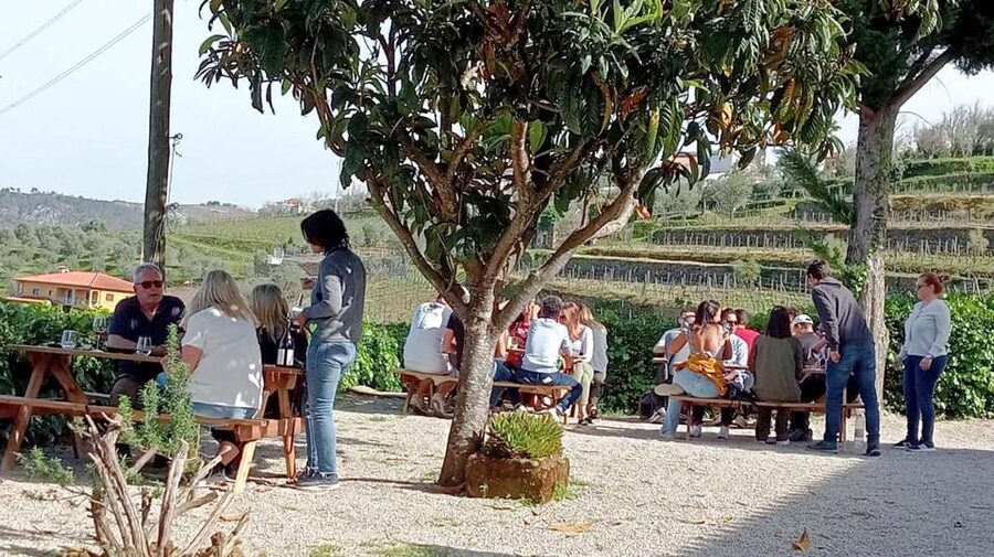 Porto: Douro Valley Vineyards Tour with Lunch & River Cruise - What to bring, and how to handle the wine without regret