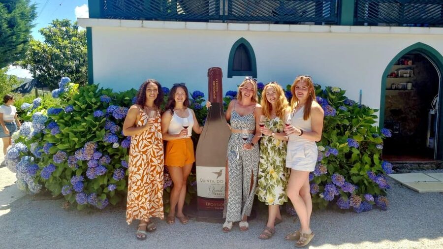 Porto: Douro Valley Vineyards Tour with Lunch & River Cruise - Who this tour suits best (and who might want a different plan)