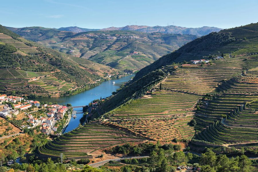 Porto: Douro Valley Wine Tour with a Sommelier & Boat Trip - Porto pickup, then straight to Vinho Verde vines
