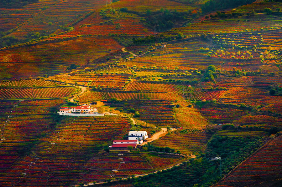 Porto: Douro Valley Wine Tour with a Sommelier & Boat Trip - Pinhão lunch and a 1-hour Douro boat cruise