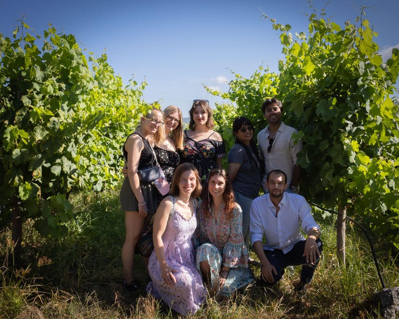 Porto: Douro Valley Wine Tour with a Sommelier & Boat Trip - What you actually get to taste: ports, DOC wines, and variety