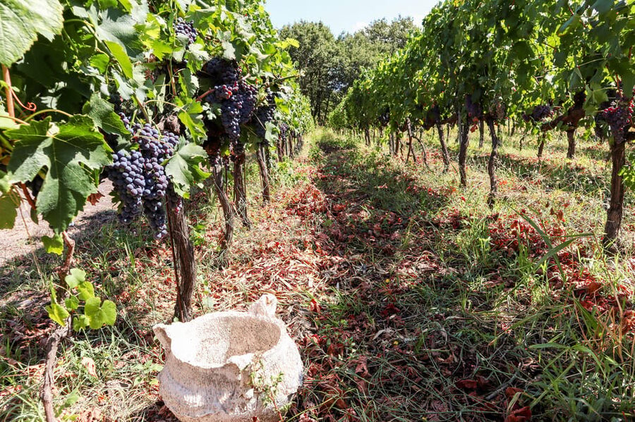 Porto: Douro Valley Wine Tour with a Sommelier & Boat Trip - Price and value: is $127 fair for Porto to Douro?