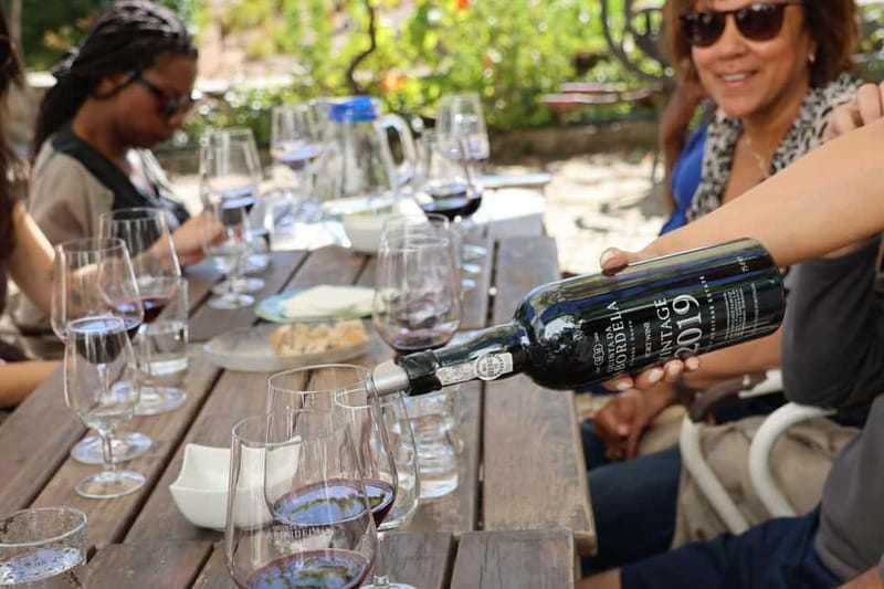 Porto: Douro Valley Wine Tour with Tastings, Lunch & Cruise - Why the Douro Valley feels different on a small-group drive