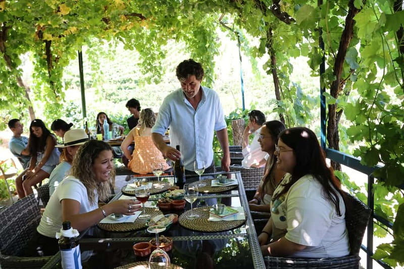 Porto: Douro Valley Wine Tour with Tastings, Lunch & Cruise - Your second winery and cellar visit, when you choose two stops