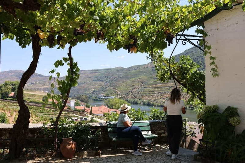 Porto: Douro Valley Wine Tour with Tastings, Lunch & Cruise - Lunch at the vineyard, wine pairing, and dietary options