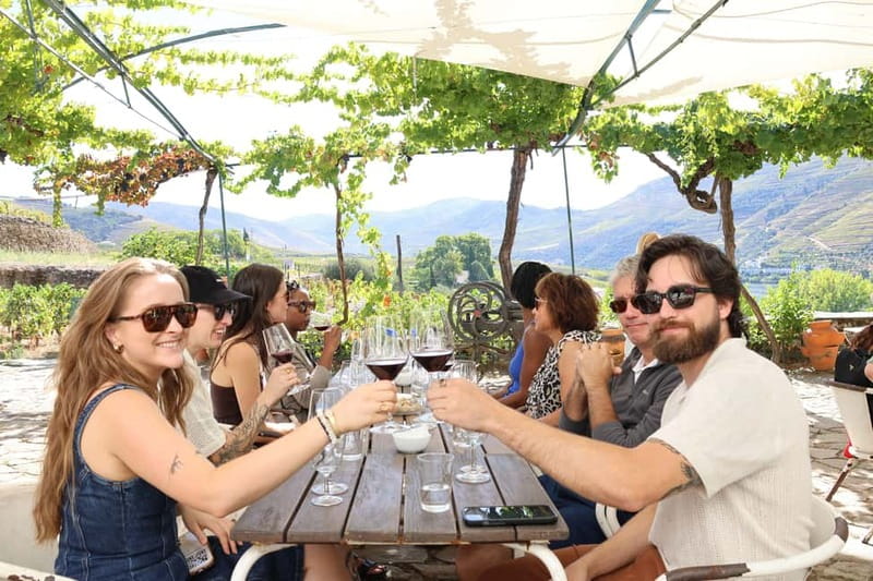 Porto: Douro Valley Wine Tour with Tastings, Lunch & Cruise - Meet in Porto, then chase viewpoints along the N323