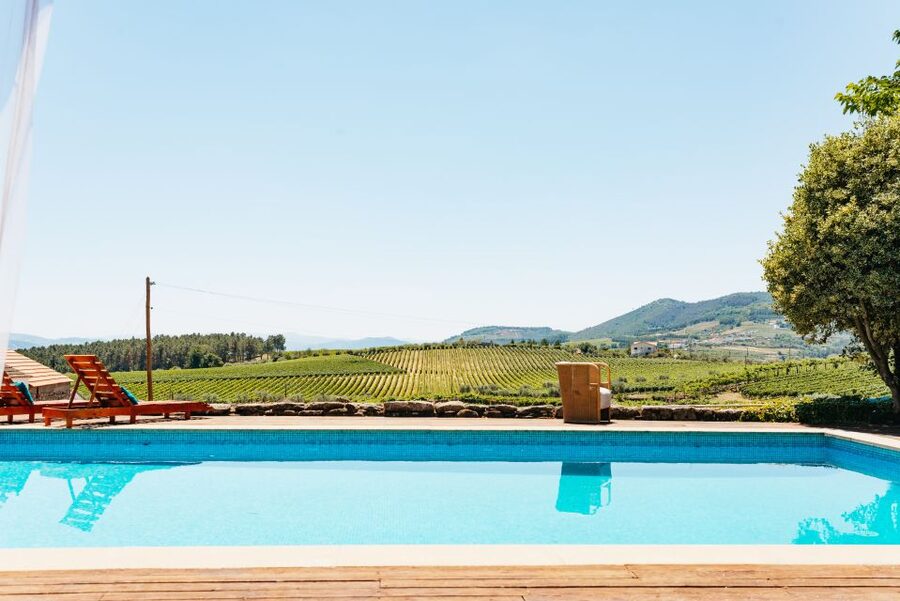 Porto: Douro Valley with Winery Lunch, Tastings & Cruise - A Family Wine Estate Lunch: Where The Douro Clicks