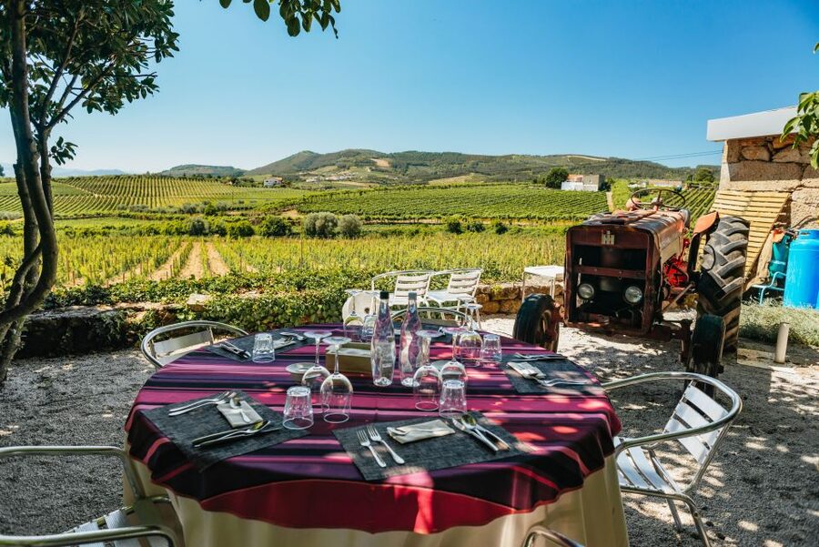 Porto: Douro Valley with Winery Lunch, Tastings & Cruise - Pinhão And The Terraced Vineyard Photo Moment
