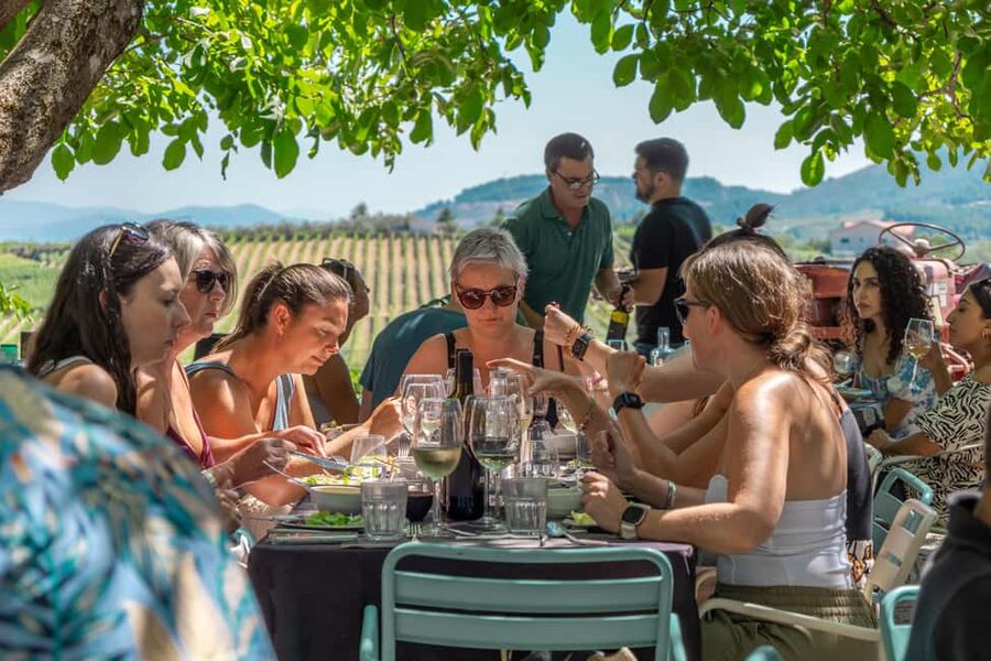 Porto: Douro Valley with Winery Lunch, Tastings & Cruise - The Premium Quinta Tastings: Three Wines With Proven Credibility