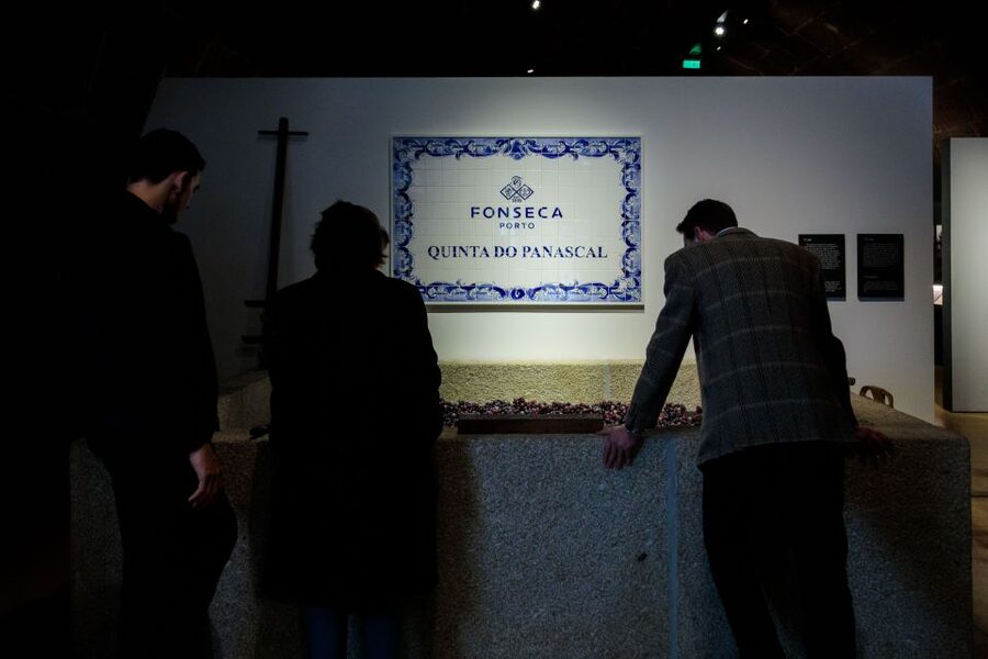 Porto: Fonseca Cellar Tour & Fado Show with Optional Dinner - Who Should Book This, and Who Should Skip It