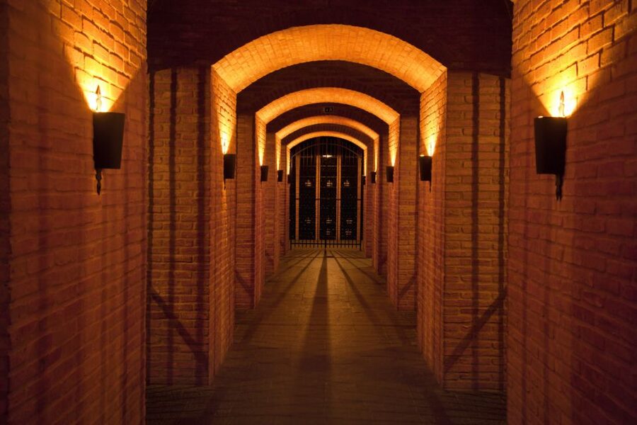 Porto: Graham's Port Lodge Tour & Vintage Room Wine Tasting - Who this tour suits best
