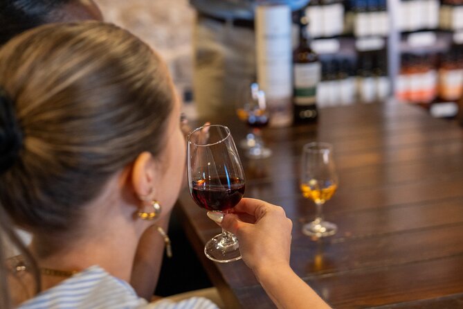 Porto Half-Day Guided Historical Tour with Port Cellar Visit and Tasting - Why the Stops Work Together (and When They Don’t)
