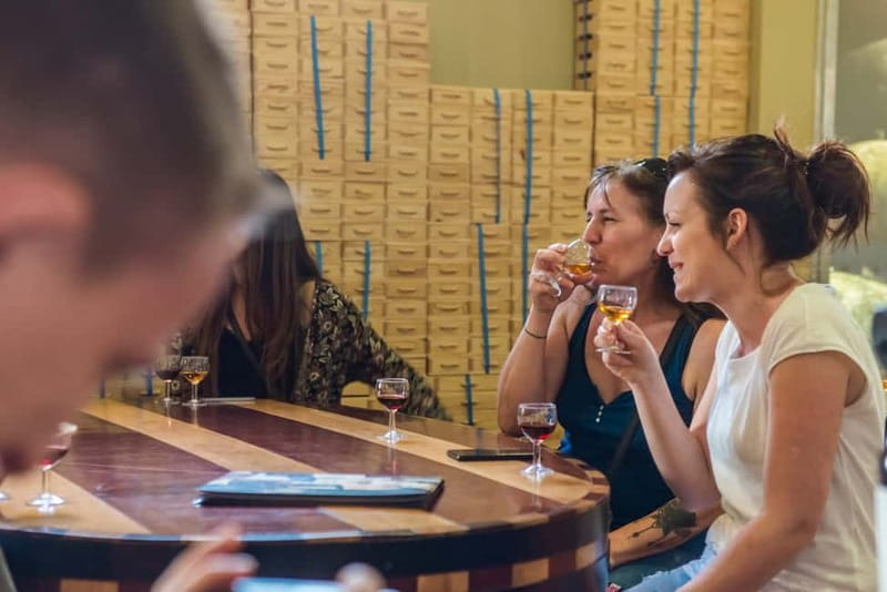Porto: Magic Train Tour and Port Wine Cellar with Tastings - A Two-Hour Shortcut to Porto Highlights and Port Wine