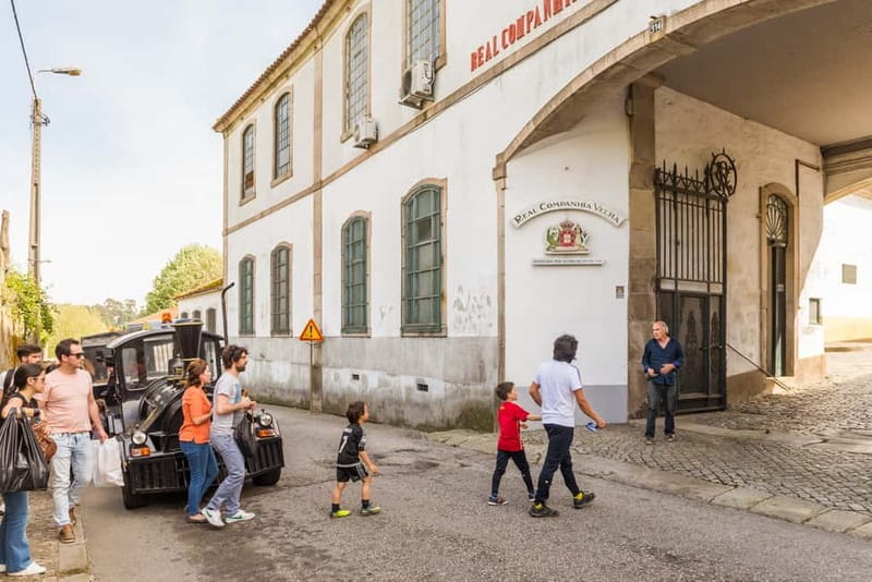Porto: Magic Train Tour and Port Wine Cellar with Tastings - The Real Companhia Velha Cellar Tour and the 15-Minute Documentary