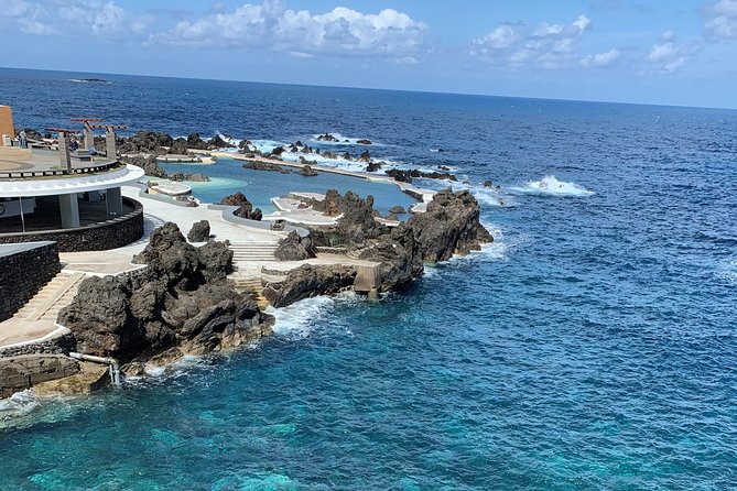 Porto Moniz Lava Pools, Fanal Forest and Skywalk 4x4 Experience - Fanal Forest, Vereda do Fanal: Centenary Trees in the Laurissilva Cloud World