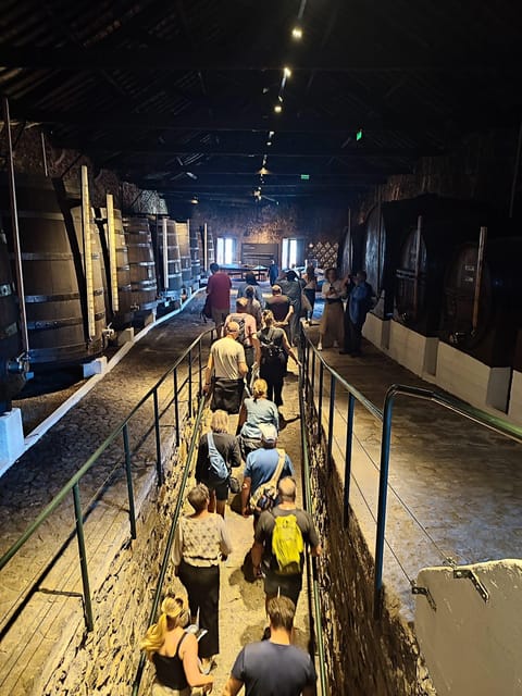 Porto: Port and Douro Wine Walking Tour with 9 Tastings - Vila Nova de Gaia is the best wine classroom in Porto