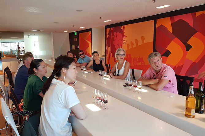 Porto: Port and Douro Wine Walking Tour With 9 Wine Tastings - What the Guide Really Does for Your Enjoyment