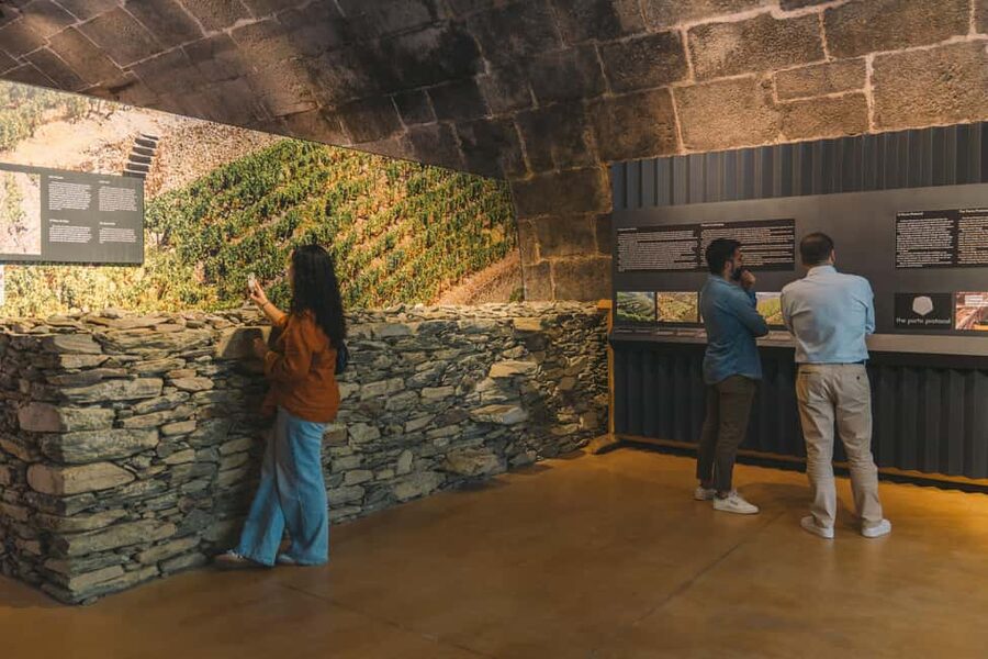 Porto: Port Cellar Visit and Wine Tasting at Fonseca - Douro Valley uniqueness, explained for people who are not wine academics