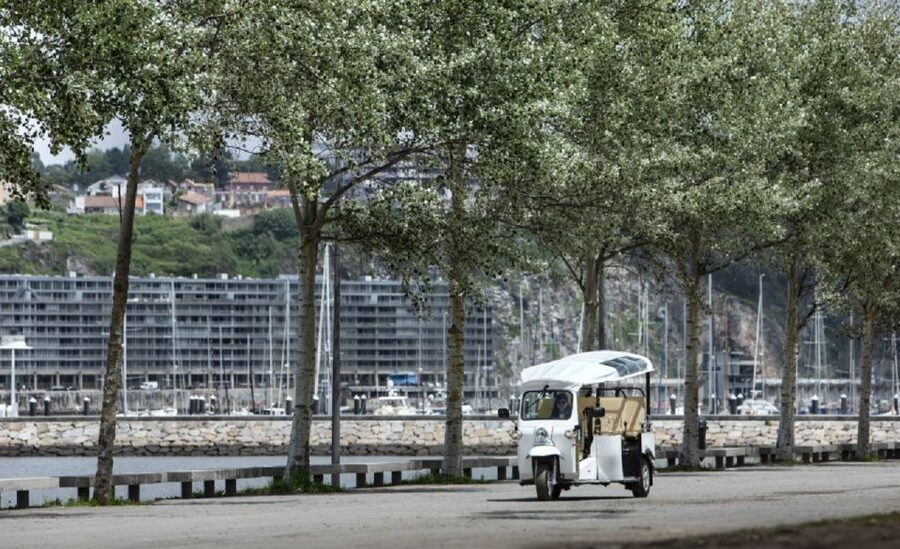 Porto: Private Sightseeing Tour by Electric Tuk Tuk - Clérigos Tower Photo Stop and the Classic Porto Street Approach