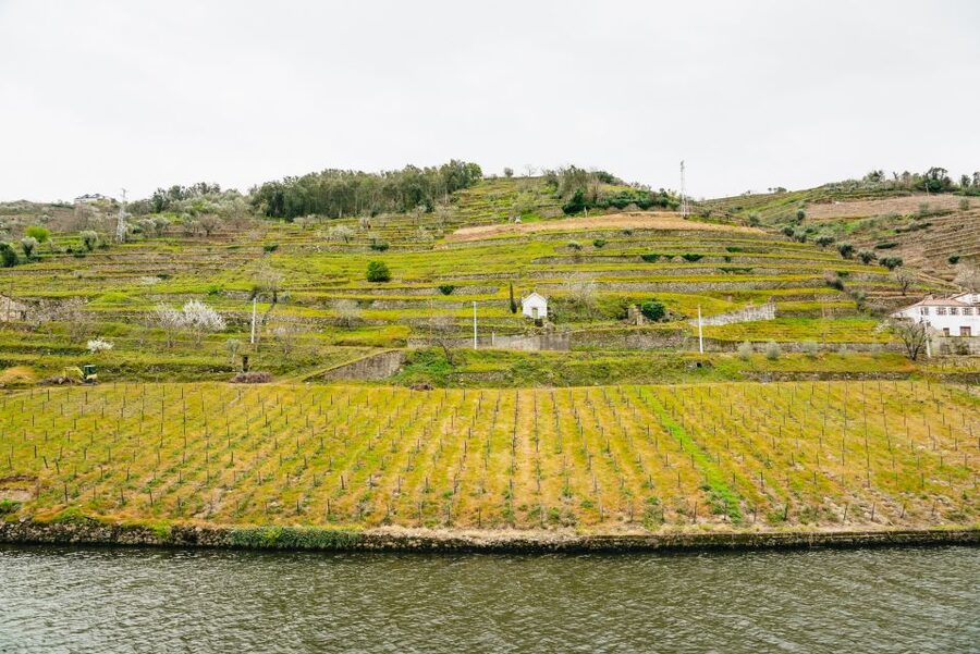 Porto - Régua - Porto Upstream Douro Cruise & Tour - The audio guide in four languages: useful, but not magic